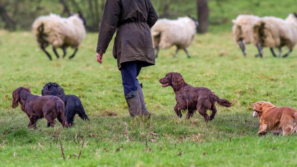  The livelihoods of farmers could be under threat