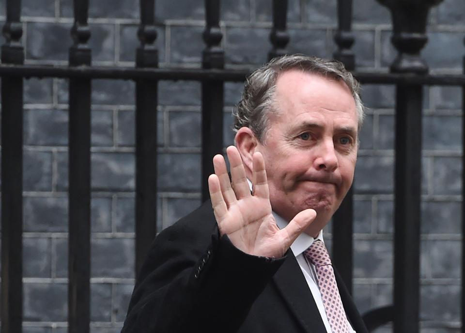  Liam Fox can start negotiating after the UK leaves in March 2019