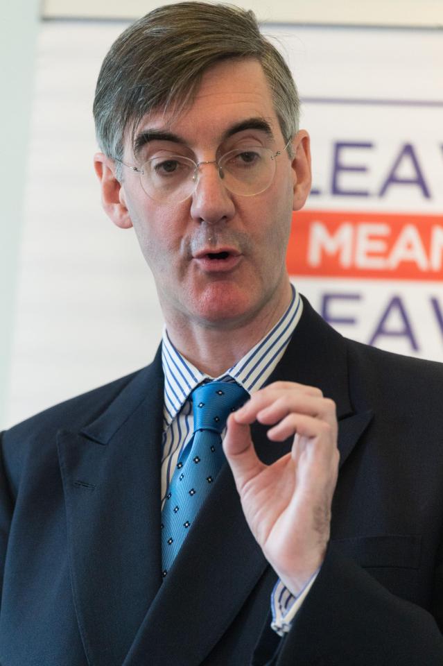  Jacob Rees-Mogg said reports that we would run out of food were just wrong