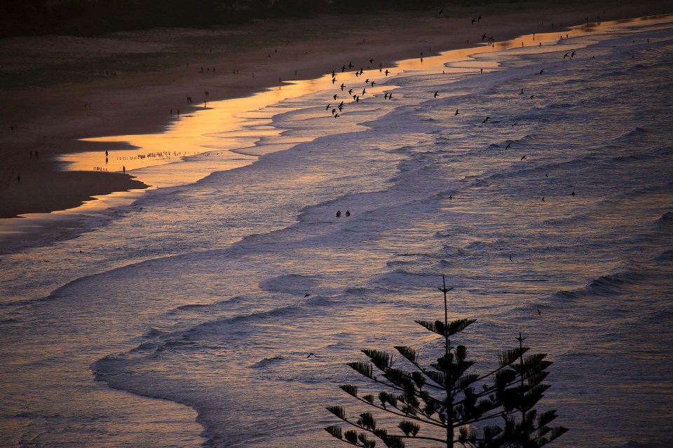 The stunning beaches of the Gold Coast