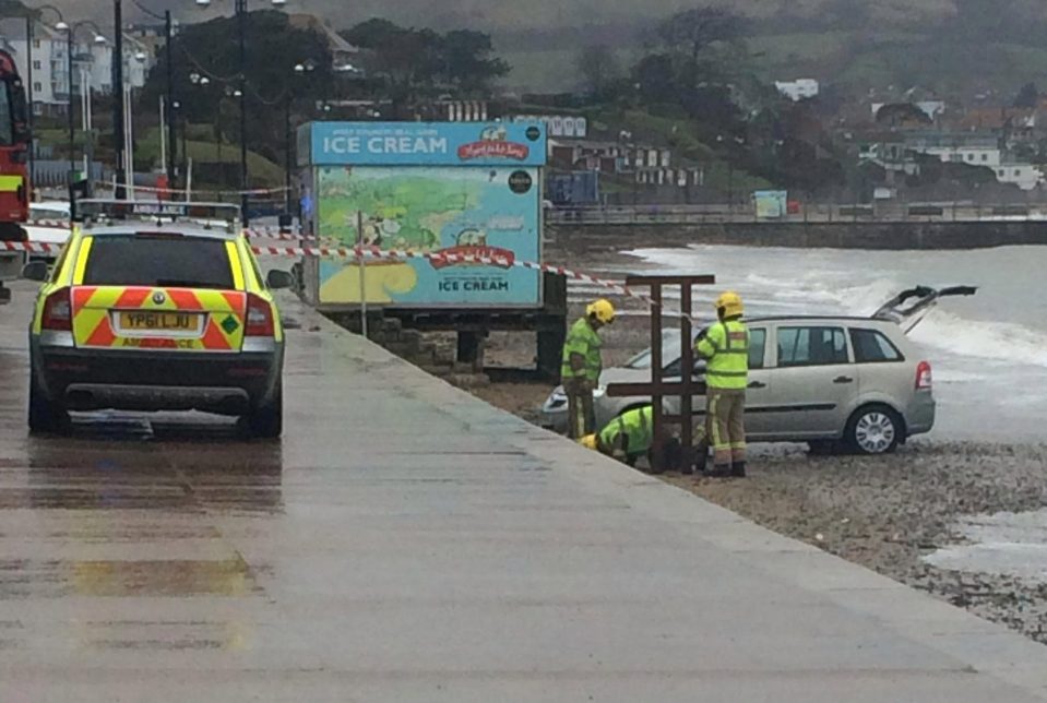  The 70-year-old died along with his dog after the Vauxhall Zafira careered over a promenade wall in Swanage