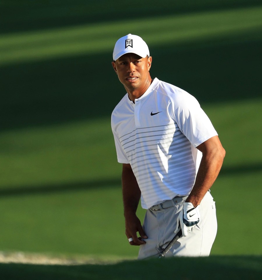 Tiger Woods has failed to recapture his form since taking a year off the sport back in 2009