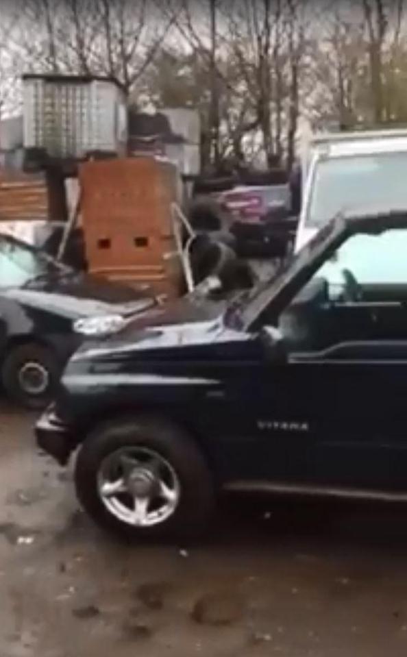  Families were forced to search for their cars nearby - some found them in muddy carparks