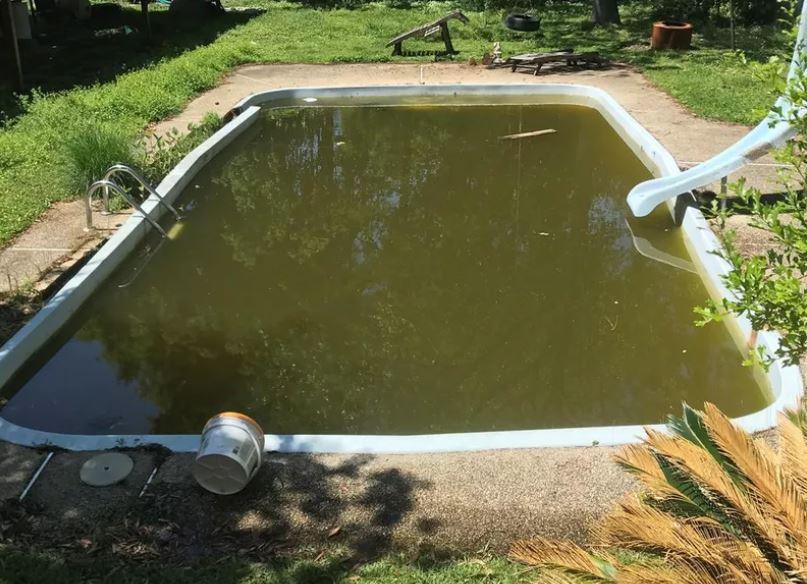  The little boy drowned in this filthy swimming pool near New Orleans