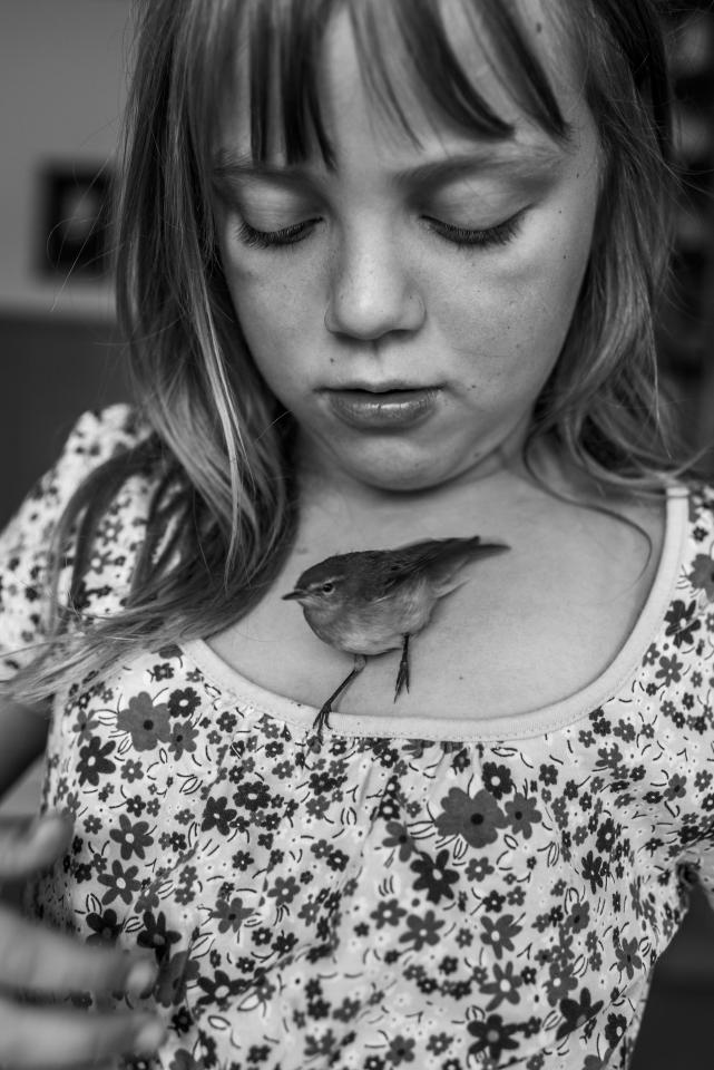  This shot of a young girl caring for a bird she found in a nearby field won first prize in the long-term projects category