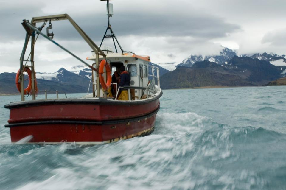  A four-year contract to fish Chilean seabass or Patagonian toothfish was given to a foreign firm