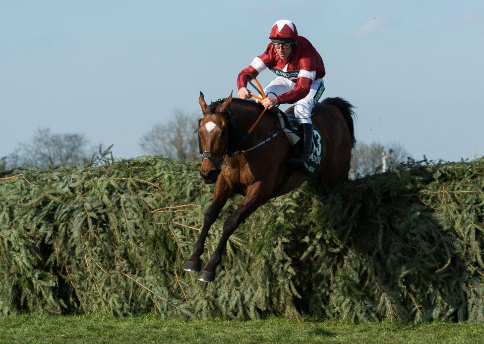  Tiger Roll jumps the last fence and looked set for an easy Grand National triumph