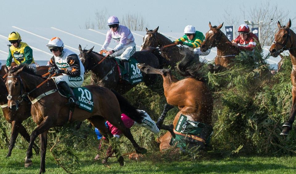  Tiger Roll may have had a Grand National to remember, but some other horses weren't so lucky