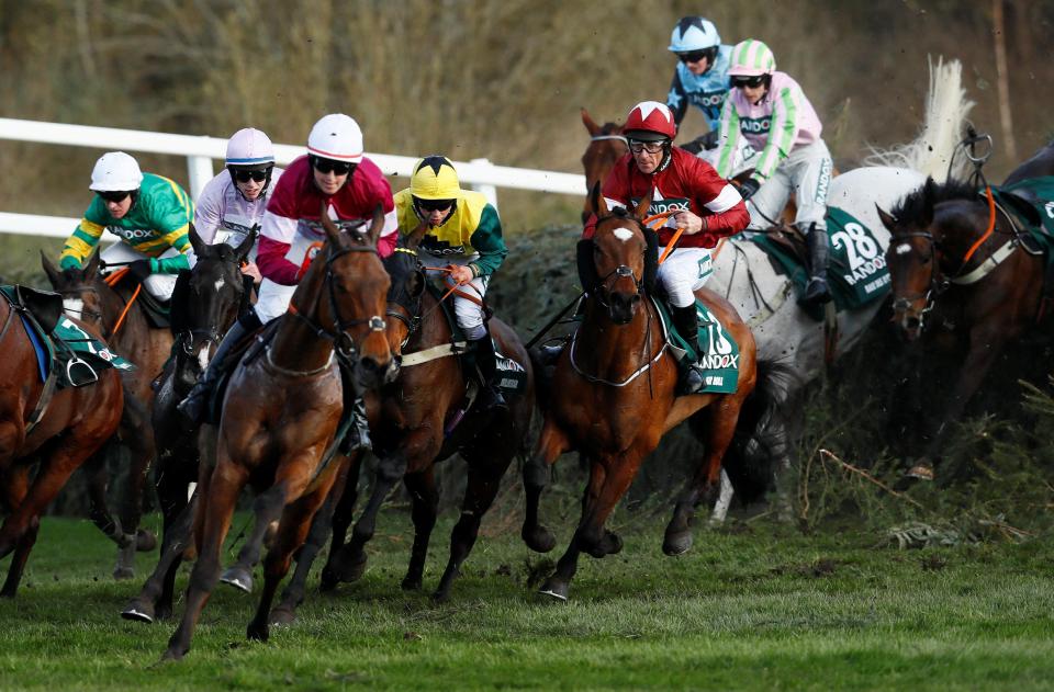  Tiger Roll cut through the field as he embarked on the second circuit, and was a well-deserved winner