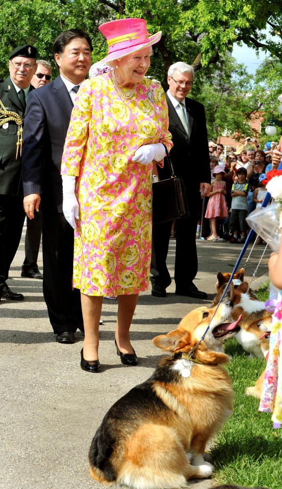  Queen Elizabeth II chats to corgi dog-owners as she leaves Government House in Canada in 2010