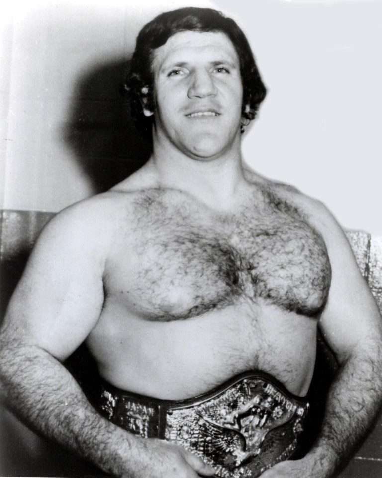 Burno Sammartino did not like the way the business was going under Vince McMahon