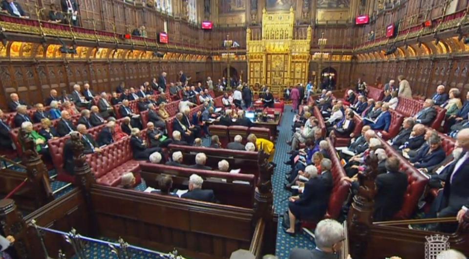  Meddling Lords have been accused of 'attempting to overturn Brexit' after voting 335 to 244 in favour of an amendment to May's Brexit blueprint