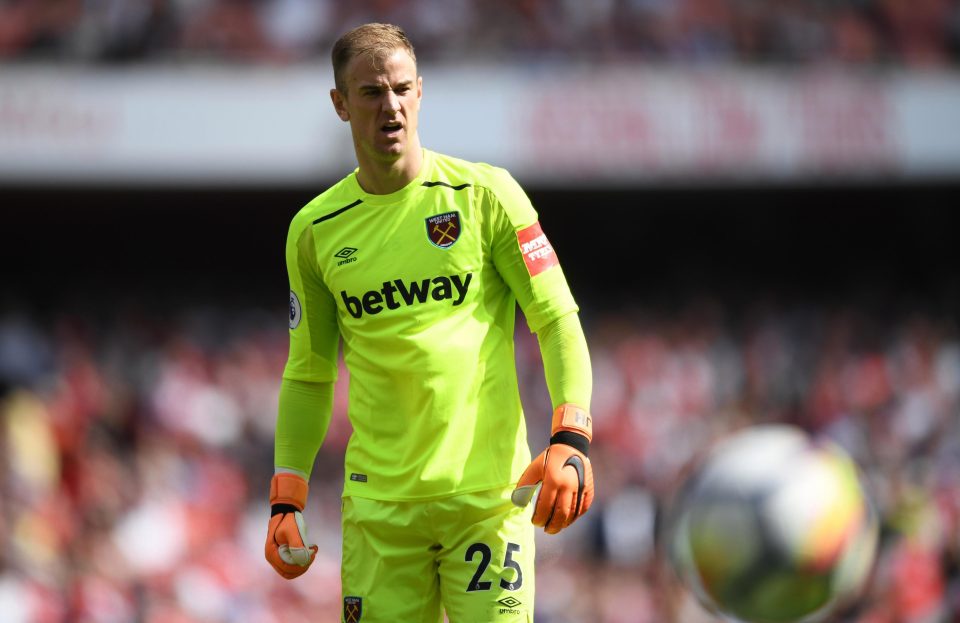  Joe Hart has earned his place on the plane to Russia