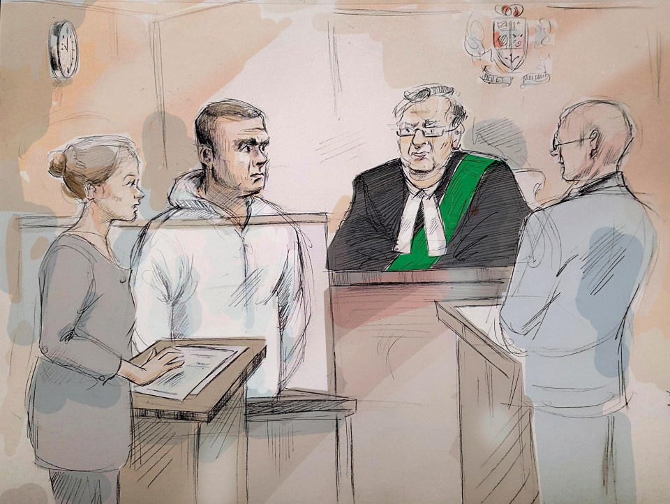 Suspect Minassian appeared in court charged with ten counts of murder and 13 counts of attempted murder 