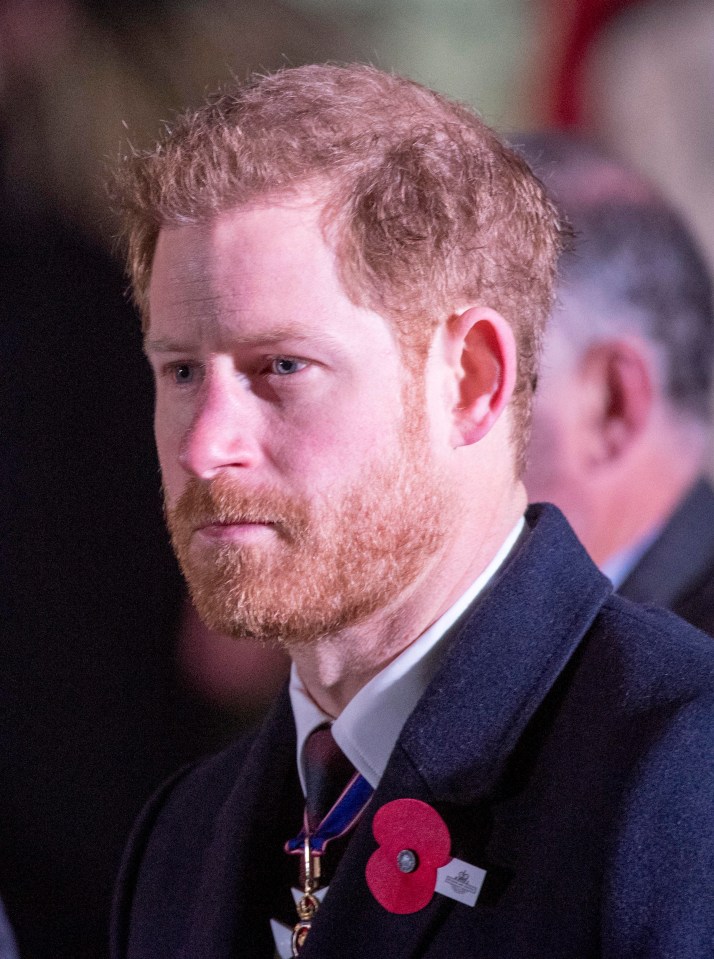 Prince Harry, 33, appeared reflective as he paid his respects to the Australian and New Zealand war dead