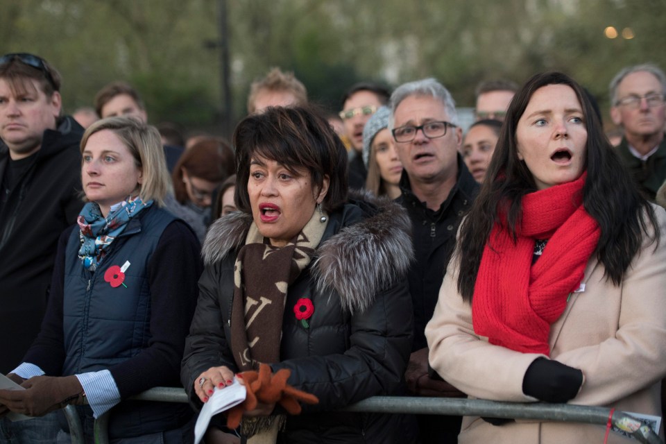 Crowds gathered at Wellington Arch in Central London to pay their respects