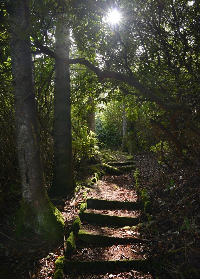  Paths meander through wooded grounds that lead to a sheltered shingle beach