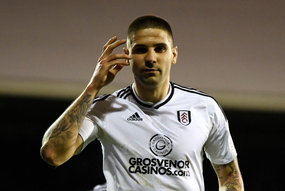  Aleksandar Mitrovic's winner against Sunderland kept Fulham in the race for automatic promotion