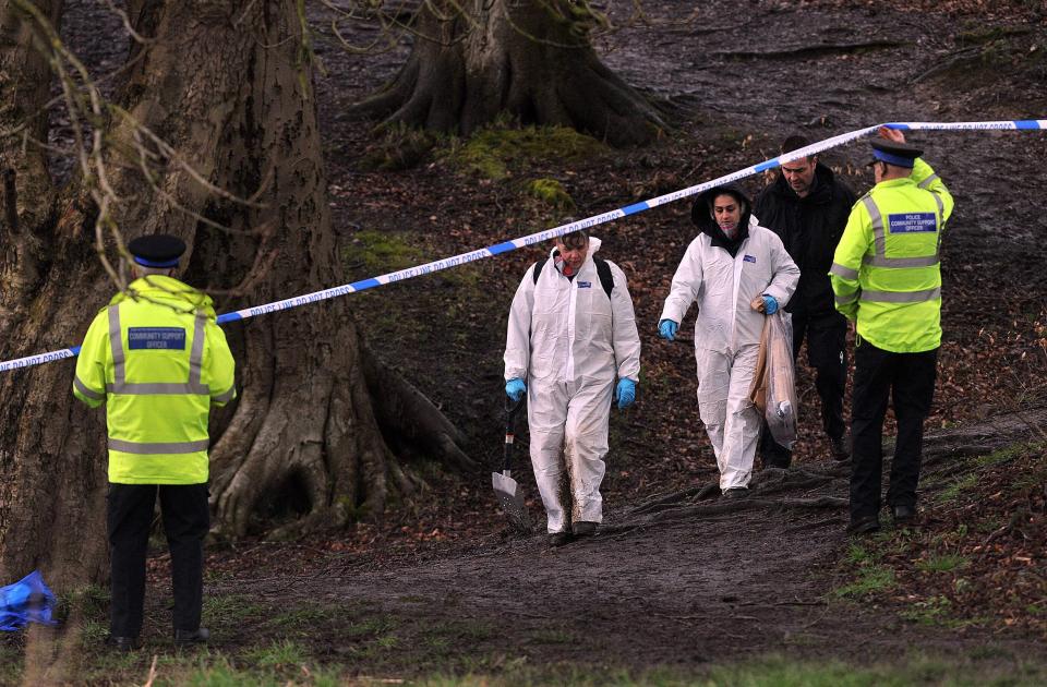  Police have said the mother of a baby abandoned in woodland may have been the victim of a rape