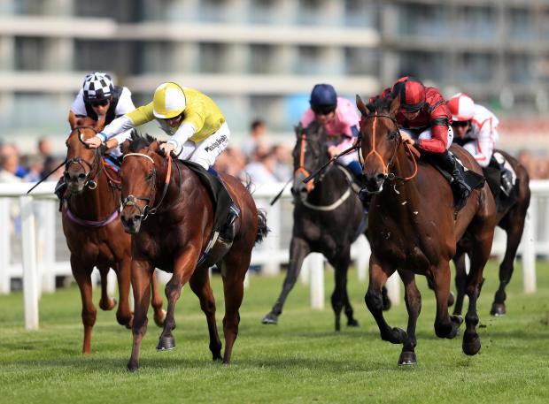 newbury racecourse