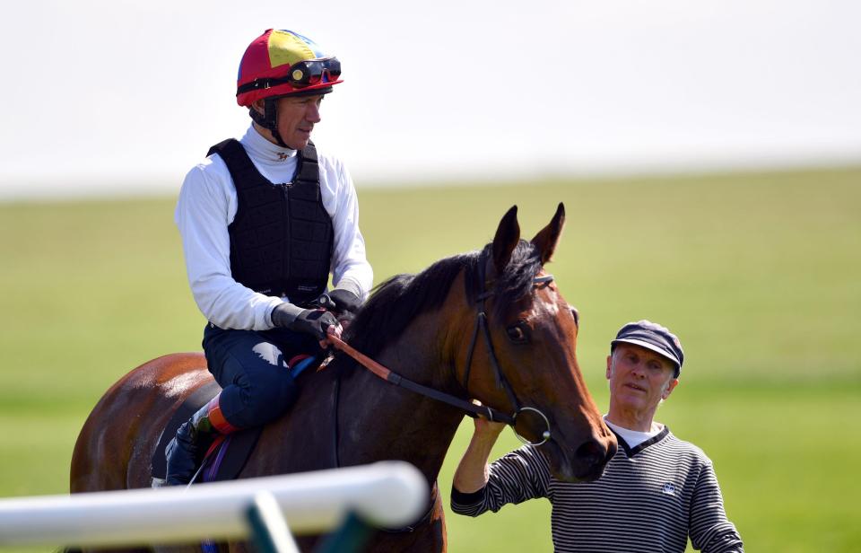  Frankie Dettori returns from the gallop with Guineas contender Veracious