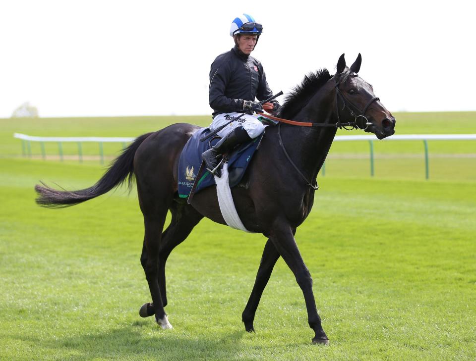  Frankel could sire his first British Classic winner with Elarqam (above)