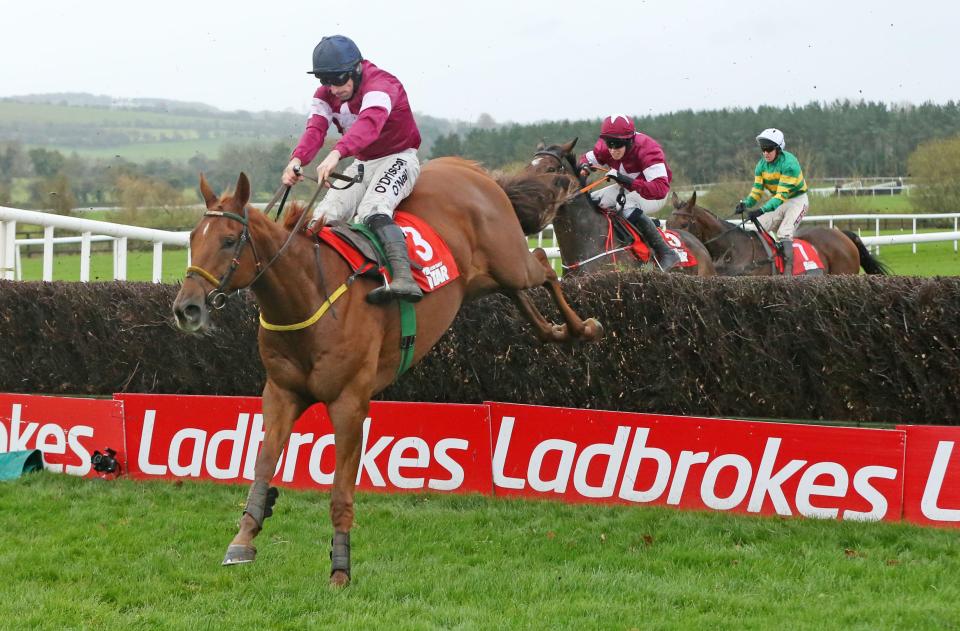  Road To Respect on course for Punchestown Gold Cup bid