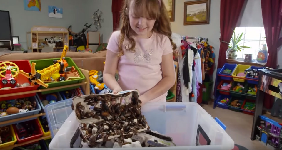  Nine-year-old Shelby Counterman is obsessed with cockroaches