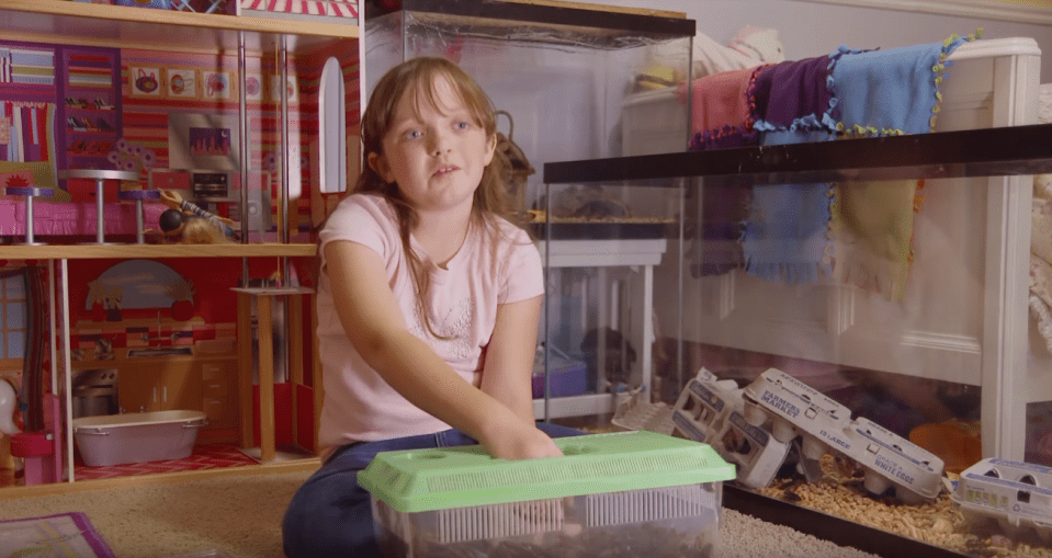  Shelby keeps eight tanks of roaches in her house, including a 'play tank' in her room