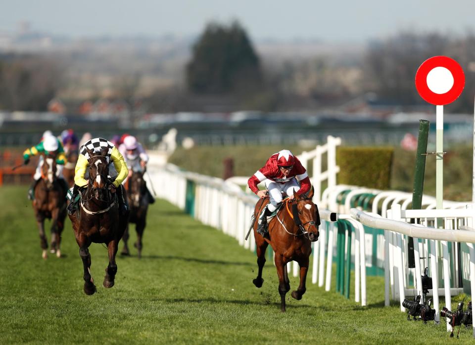  Tiger Roll (right) just held on from Pleasant Company to win the Grand National