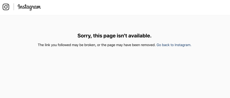  All of Nasim's Instagram pages were deleted following the YouTube HQ shooting