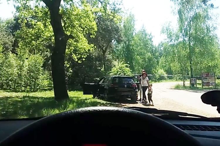  The family first get out of their car to look at the animals just yards away