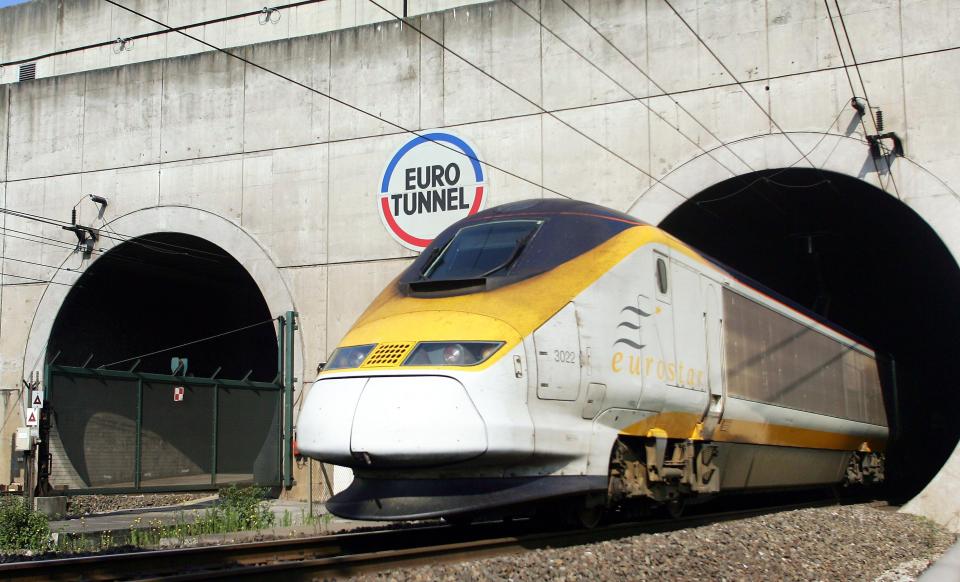  Serena is known to have boarded a Eurotunnel train (file image)