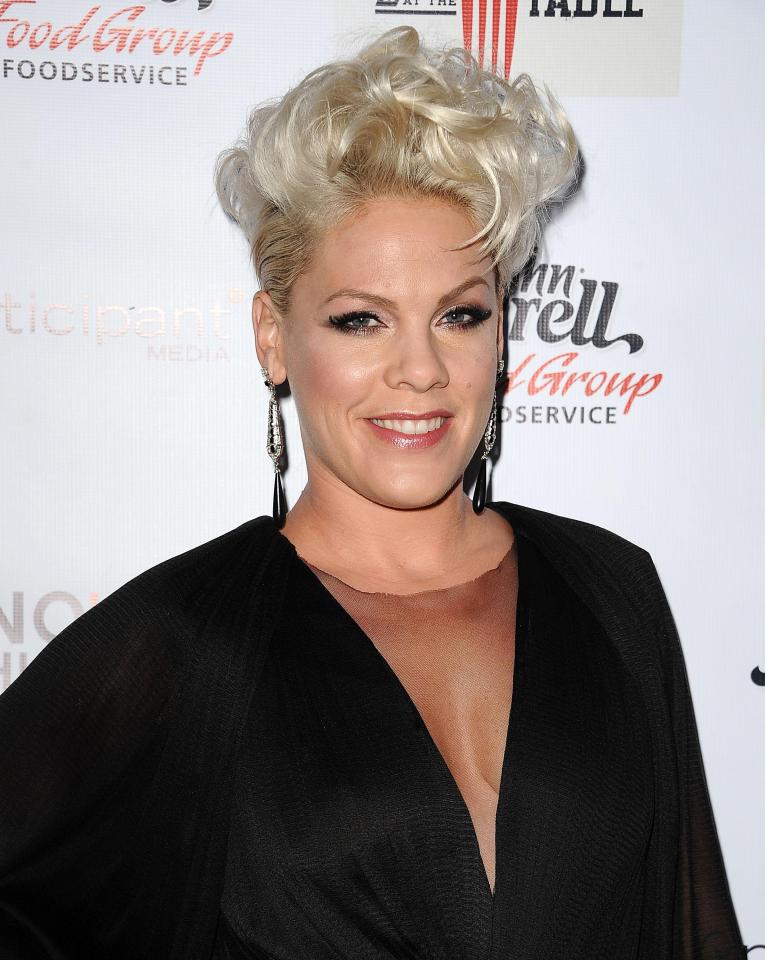  Pink, 38, has hit out at a troll who said she looked old