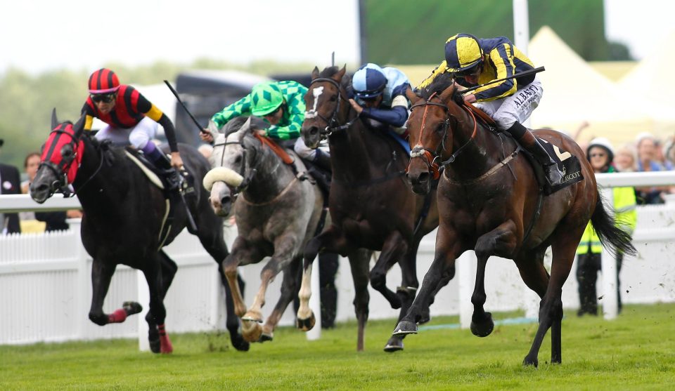  My Dream Boat (far right) gave Cox a huge win in the Prince Of Wales's Stakes