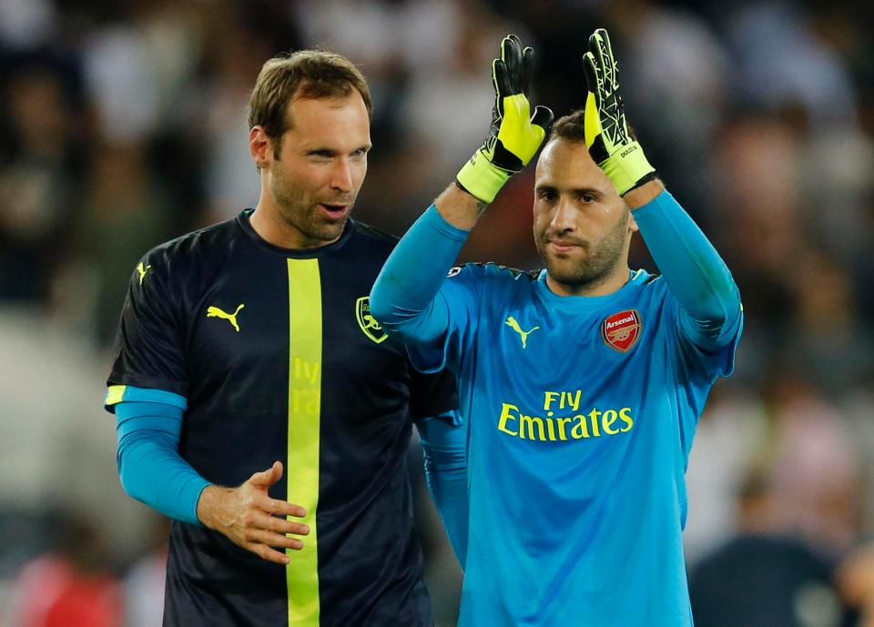  Petr Cech and David Ospina are not seen as long-term options by Arsenal