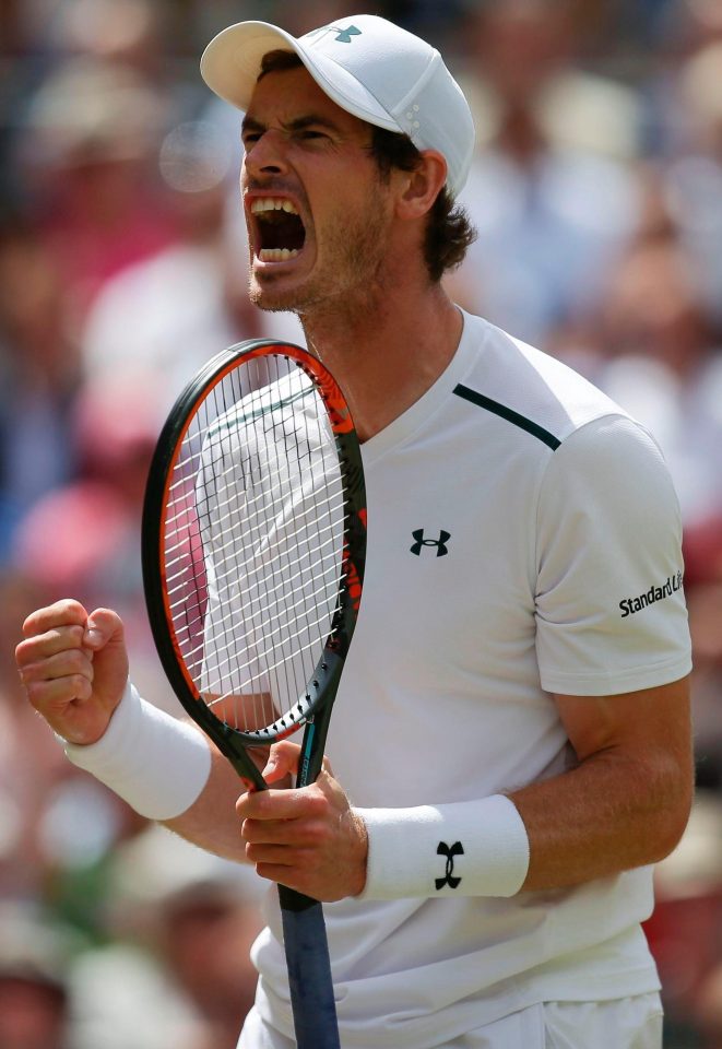  Three-time Grand Slam winner Murray hopes to roar back to full fitness in the Netherlands next month