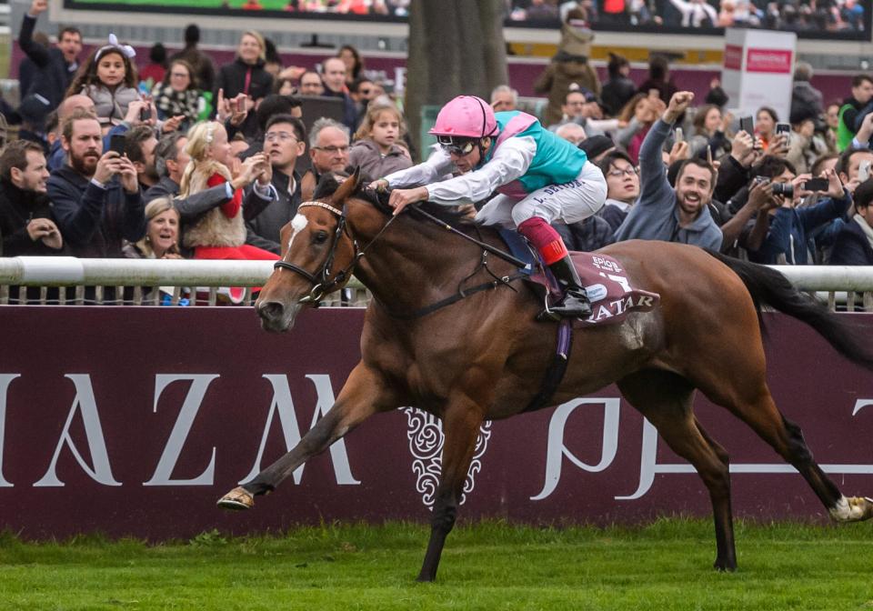  The brilliant Enable is by Nathaniel - the same sire of Perfect Clarity