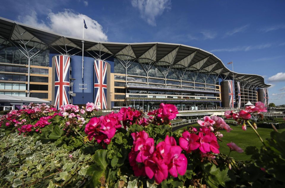  Ascot was the latest track to hit the headlines following a huge brawl