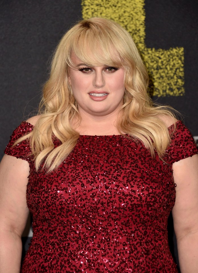 Rebel Wilson has confirmed she is back on the market after splitting up with stuntman boyfriend