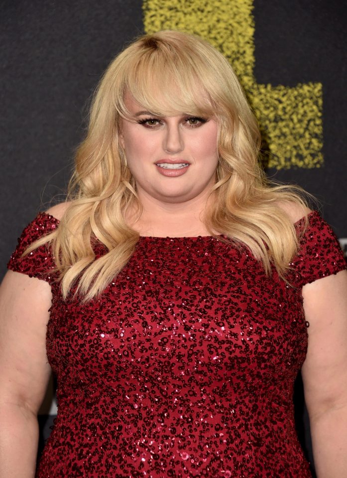  Rebel Wilson has confirmed she is back on the market after splitting up with stuntman boyfriend