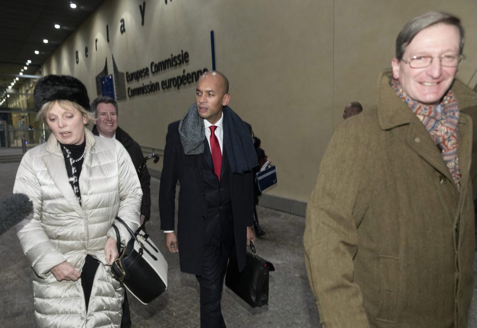  Mr Umunna has been campaigning alongside pro-EU Tories such as Anna Soubry and Dominic Grieve