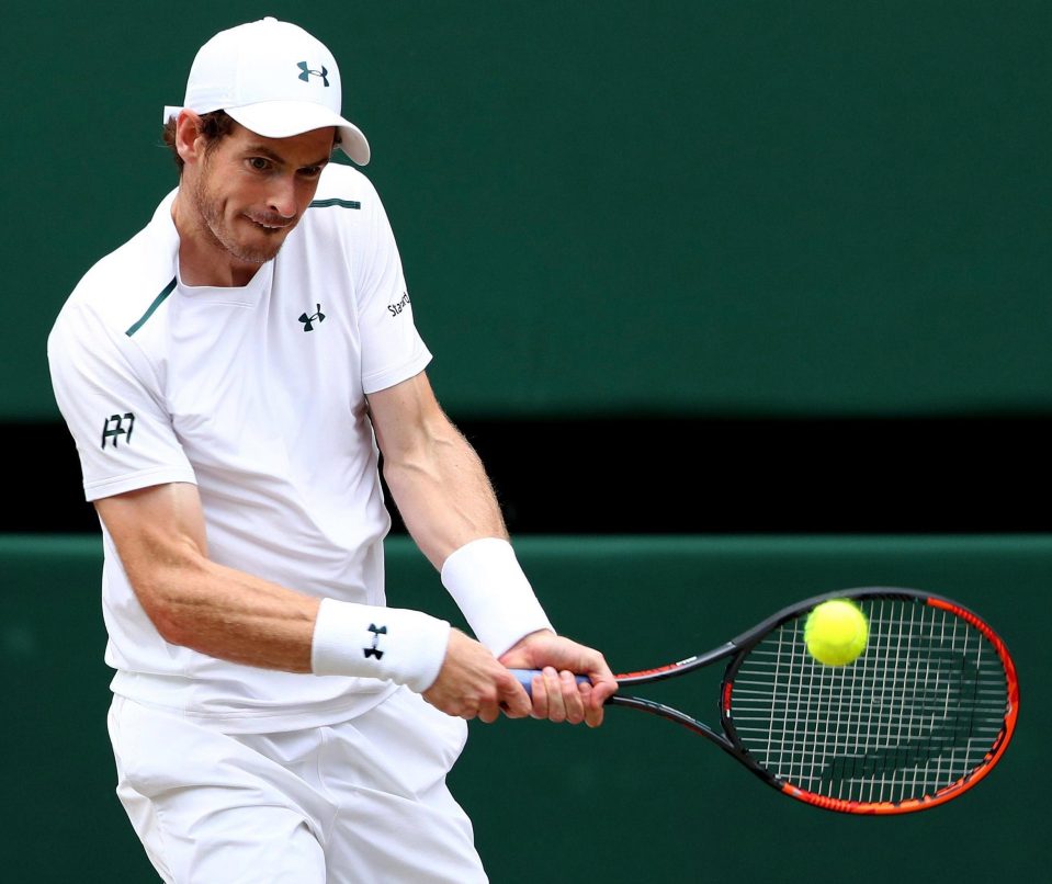  Andy Murray is looking to return from injury in Holland next month