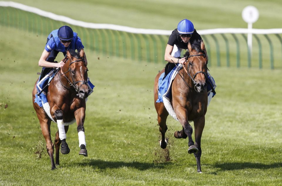  Wild Illusion (left) is geared up for her crack at the Oaks