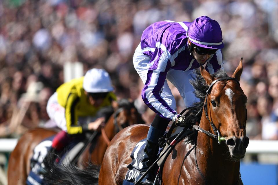  Saxon Warrior is set to have a crack at the Triple Crown