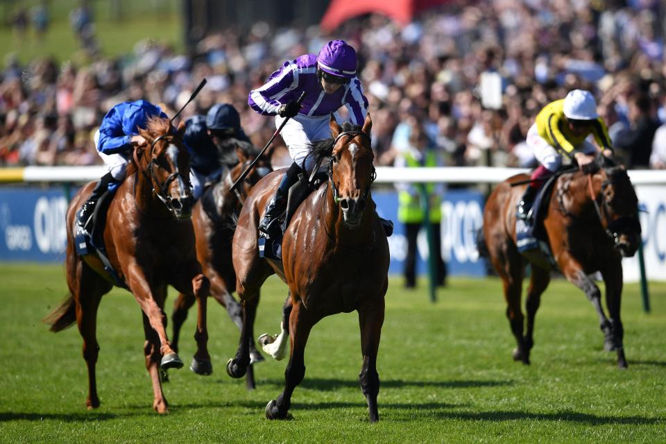  Saxon Warrior struck gold in the Guineas for the O'Brien's