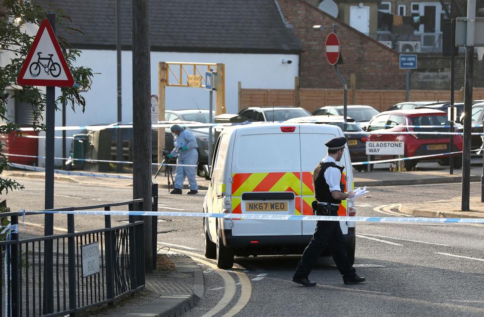  A 13-year-old boy incredibly survived a shotgun blast to the head in Harrow this afternoon