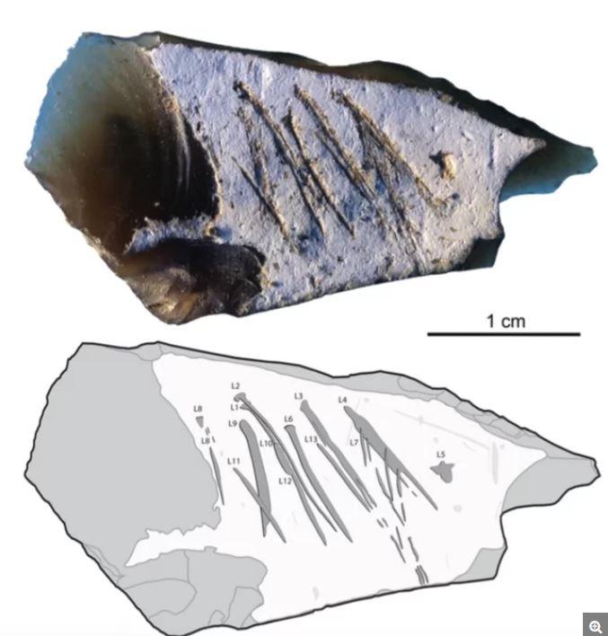  The engravings may only be a series of zig-zag lines, but according to scientists these map out a major step in human evolution