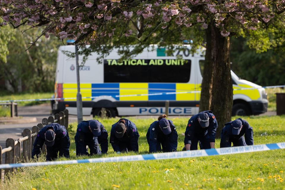  A team of investigators search the scene of the shooting on their hands and knees