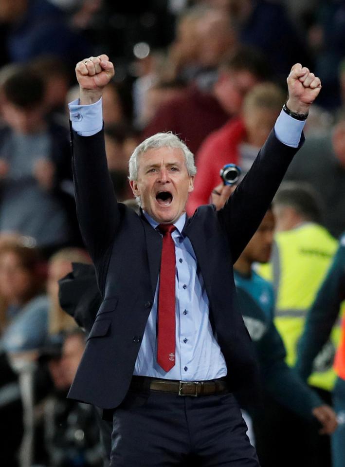  Mark Hughes is looking to strengthen squad this summer after survival